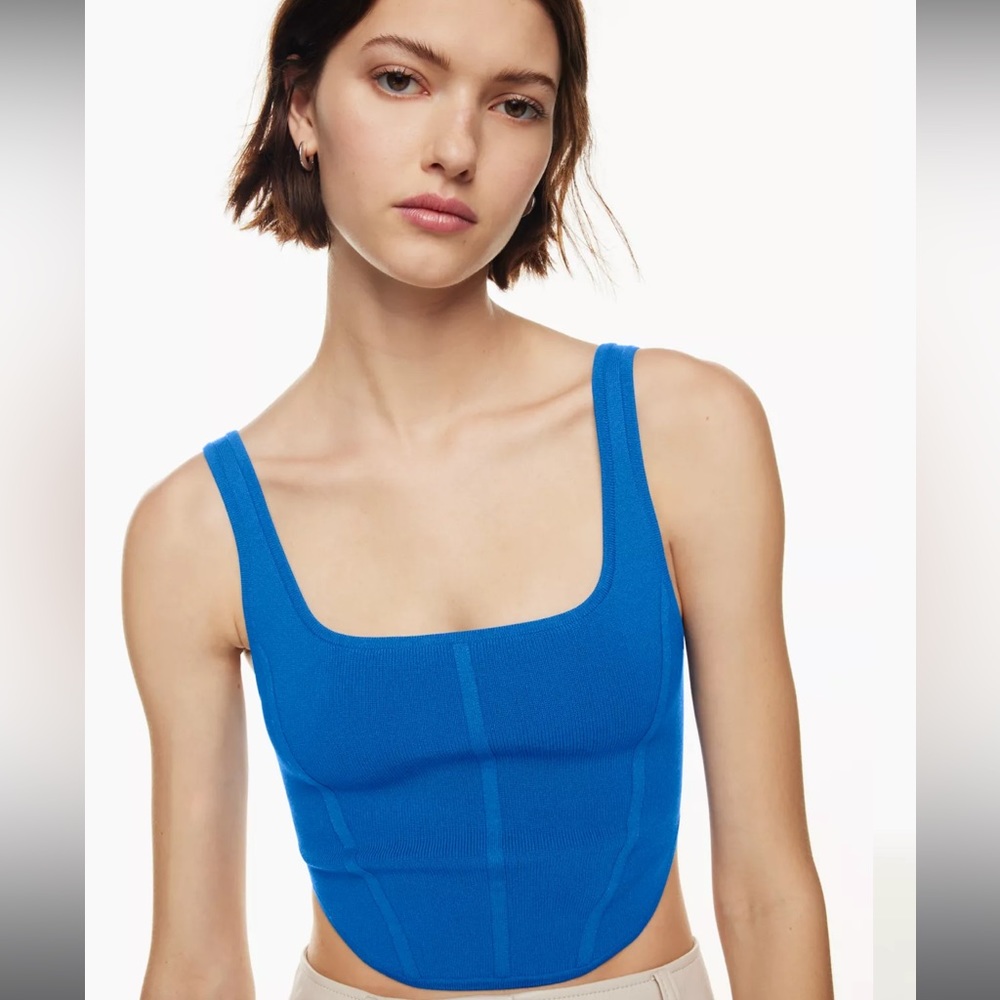 Aritzia sculpt knit bustier top